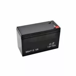 GLOBAL GARDEN PRODUCT 118120004/0 - Batterie Sèche 12V - 7AH Pour Tondeuse Autoportée Castelgarden / GGP