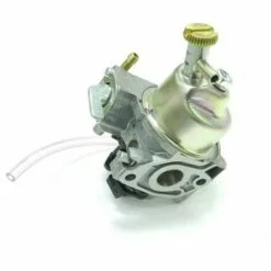 Carburateur Moteur Honda GXV50 / FG201