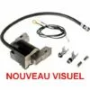 Bobine Allumage Briggs Et Stratton -Tondeuse Et Accessoires Boutique 11012208 1