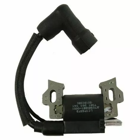 GGP/CASTELGARDEN Bobine Allumage Moteur GGP 3 GGP/CASTELGARDEN Bobine Allumage Moteur GGP