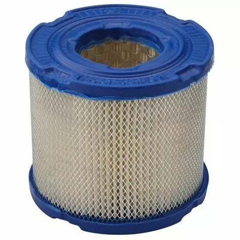 BRIGGS ET STRATTON Filtre à Air Moteur Briggs Stratton 3 BRIGGS ET STRATTON Filtre à Air Moteur Briggs Stratton