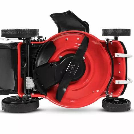 Tondeuse à Gazon Essence 165cc 6cv 4 Temps OHV Moteur Automoteur à Double Tranchant Lame Acier 460mm 18" Hauteur De Coupe Réglable Et Panier D'une Capacité De 55L - Greencut GLM770X 5 Tondeuse à Gazon Essence 165cc 6cv 4 Temps OHV Moteur Automoteur à Double Tranchant Lame Acier 460mm 18" Hauteur De Coupe Réglable Et Panier D'une Capacité De 55L - Greencut GLM770X – Image 3