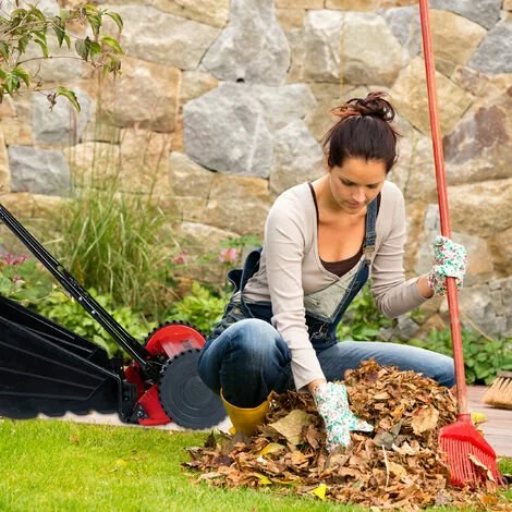 Relaxdays Tondeuse Manuelle Gazon, Avec Bac De Ramassage, Réglage Hauteur De Coupe, Largeur Découpe 29,5 Cm, Noir/rouge 7 Relaxdays Tondeuse Manuelle Gazon, Avec Bac De Ramassage, Réglage Hauteur De Coupe, Largeur Découpe 29,5 Cm, Noir/rouge – Image 5