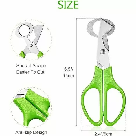 THSINDE Lot De 4 Ciseaux à œufs De Caille, Ciseaux à œufs De Caille En Acier Inoxydable, Petits Ciseaux à œufs De Caille 4 THSINDE Lot De 4 Ciseaux à œufs De Caille, Ciseaux à œufs De Caille En Acier Inoxydable, Petits Ciseaux à œufs De Caille – Image 2