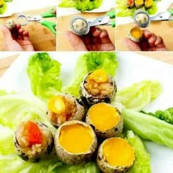 THSINDE Lot De 4 Ciseaux à œufs De Caille, Ciseaux à œufs De Caille En Acier Inoxydable, Petits Ciseaux à œufs De Caille 10 THSINDE Lot De 4 Ciseaux à œufs De Caille, Ciseaux à œufs De Caille En Acier Inoxydable, Petits Ciseaux à œufs De Caille -Tondeuse Et Accessoires Boutique 67503636 4