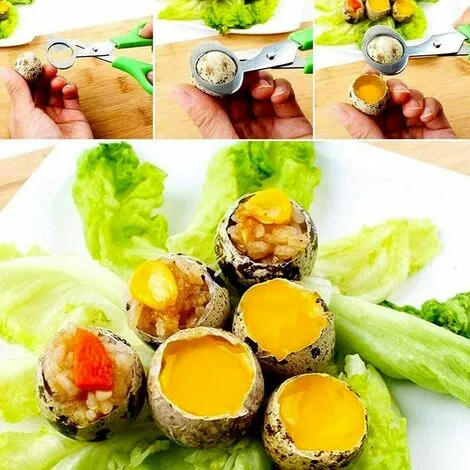 THSINDE Lot De 4 Ciseaux à œufs De Caille, Ciseaux à œufs De Caille En Acier Inoxydable, Petits Ciseaux à œufs De Caille 6 THSINDE Lot De 4 Ciseaux à œufs De Caille, Ciseaux à œufs De Caille En Acier Inoxydable, Petits Ciseaux à œufs De Caille – Image 4