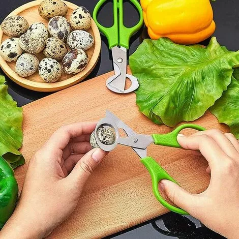 THSINDE Lot De 4 Ciseaux à œufs De Caille, Ciseaux à œufs De Caille En Acier Inoxydable, Petits Ciseaux à œufs De Caille 7 THSINDE Lot De 4 Ciseaux à œufs De Caille, Ciseaux à œufs De Caille En Acier Inoxydable, Petits Ciseaux à œufs De Caille – Image 5