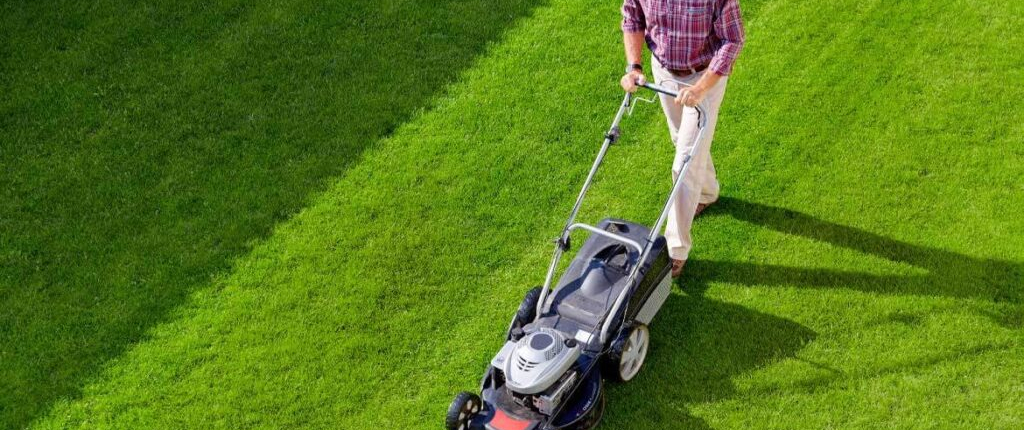 Tondeuse Et Accessoires Boutique -Tondeuse Et Accessoires Boutique 56